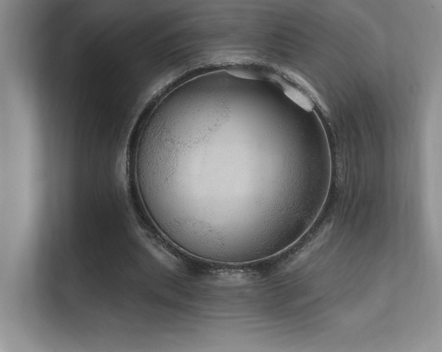X0000112430439200908141434