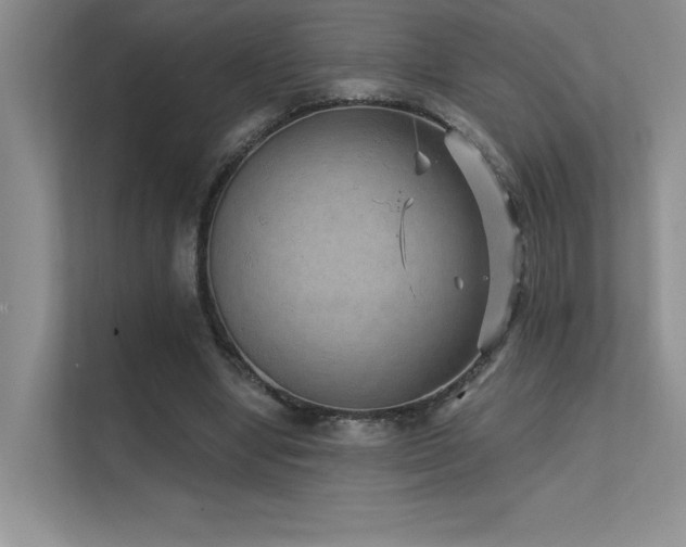 X0000112430442200908141434