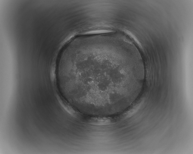 X0000112430443200908141434