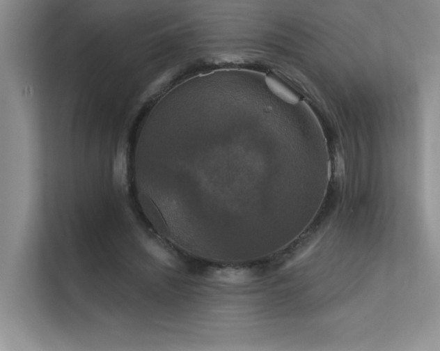X0000112430444200908141434
