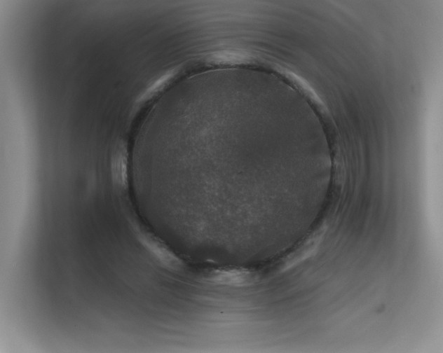 X0000112430446200908141434