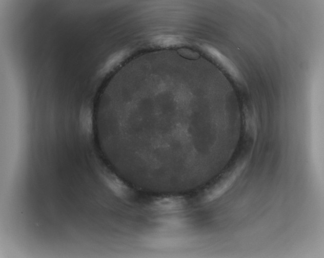 X0000112430447200908141434