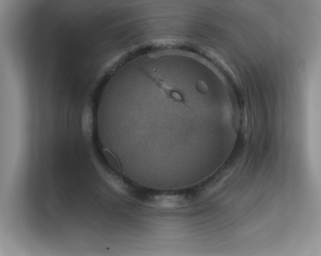 X0000112430448200908141434