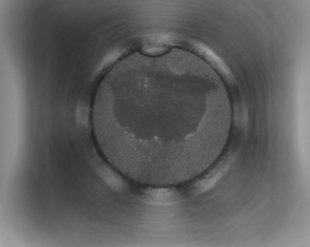 X0000112430449200908141434