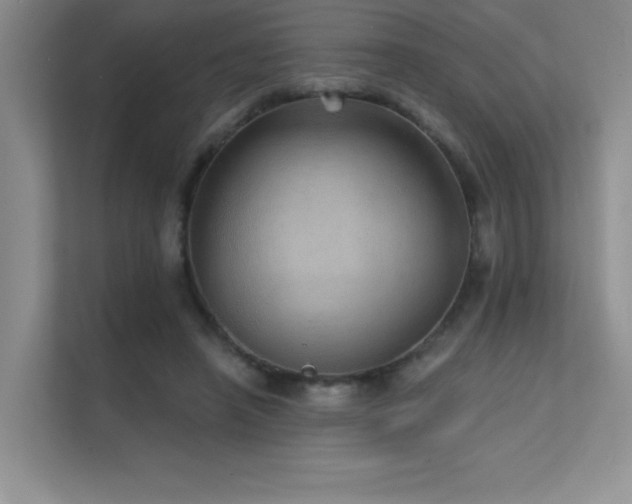 X0000112430450200908141434