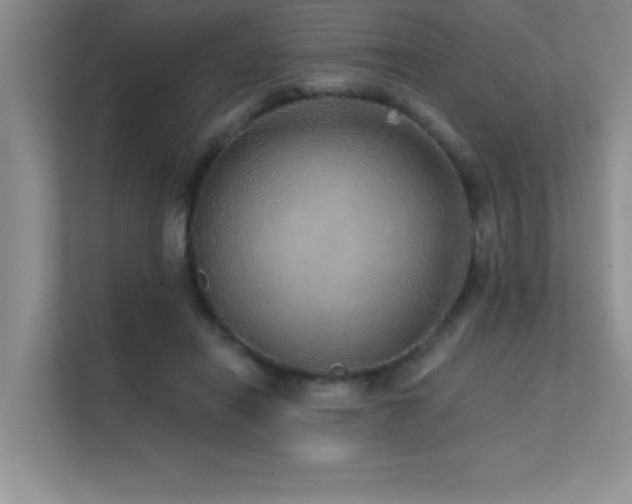 X0000112430454200908141434