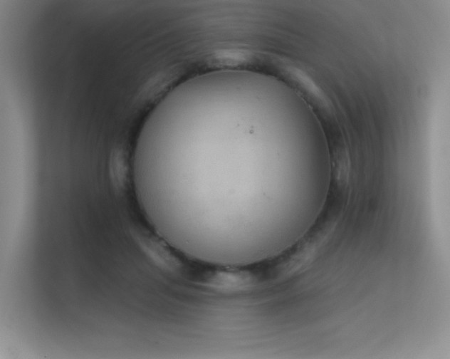 X0000112430455200908141434