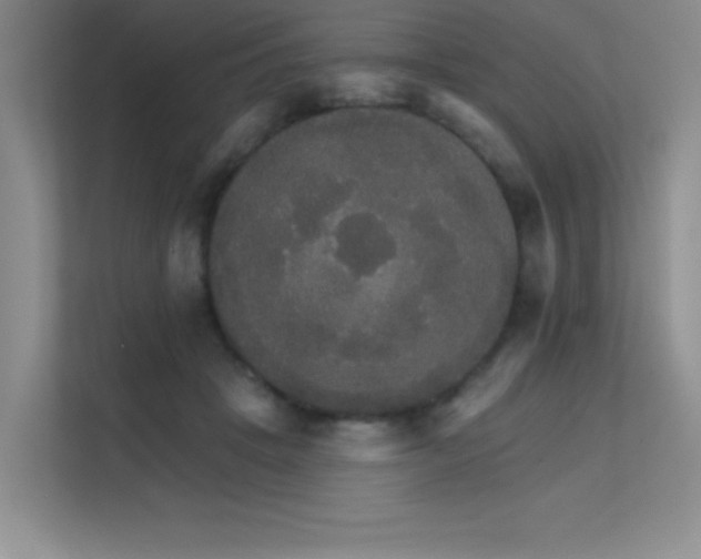 X0000112430457200908141434