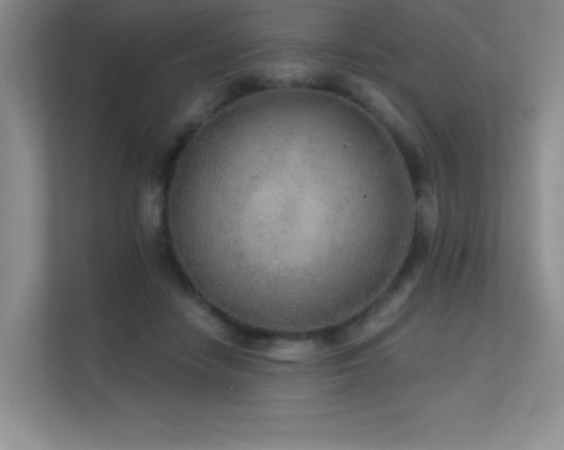 X0000112430458200908141434