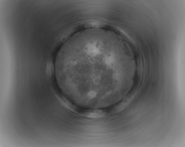 X0000112430459200908141434
