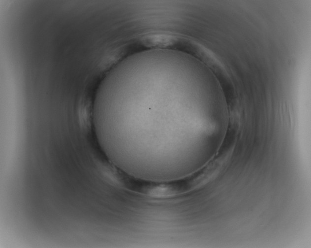 X0000112430460200908141434