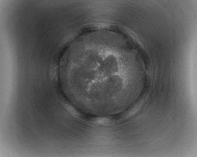 X0000112430462200908141434