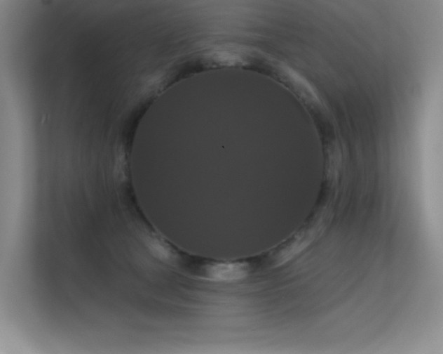 X0000112430465200908141434