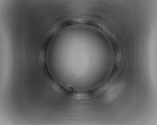 X0000112430466200908141434