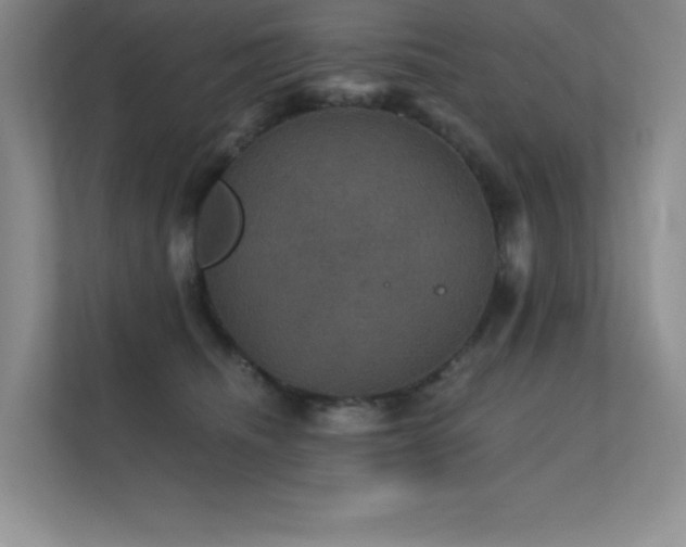 X0000112430468200908141434