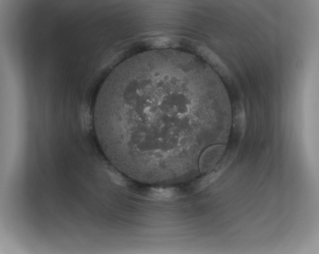X0000112430469200908141434