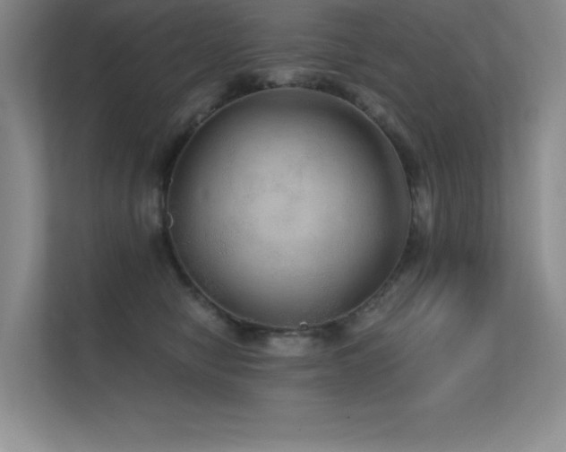 X0000112430470200908141434