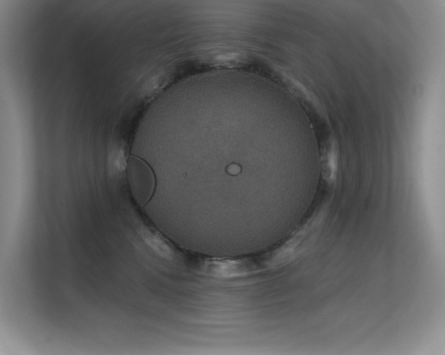 X0000112430472200908141434