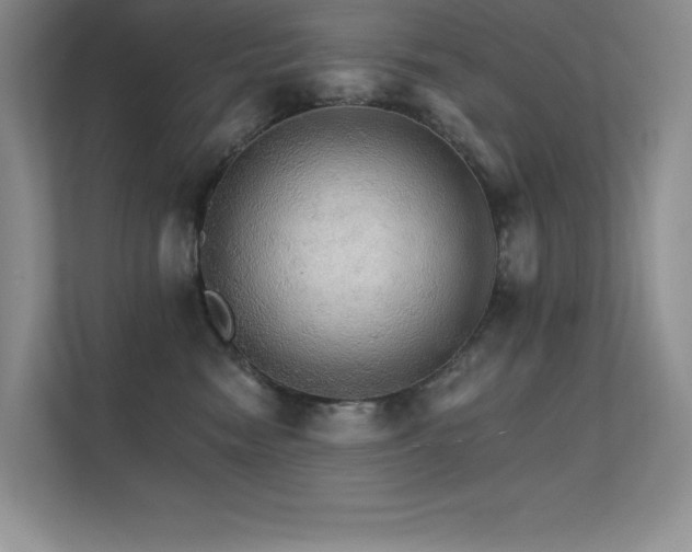 X0000112430474200908141434