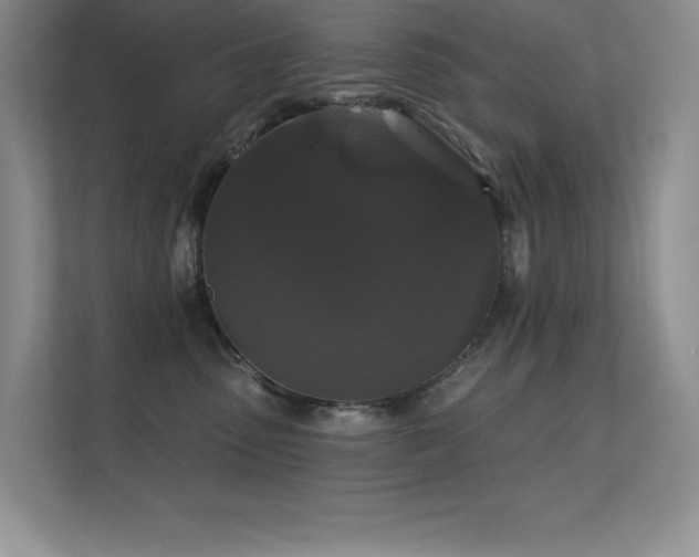 X0000112430475200908141434
