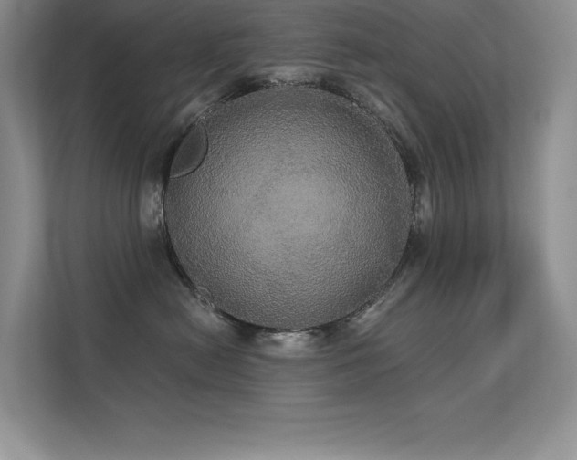 X0000112430478200908141434