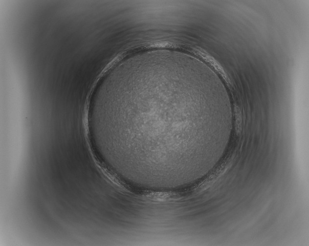X0000112430482200908141434