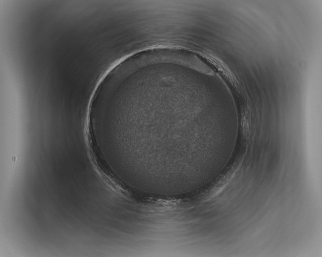 X0000112430484200908141434