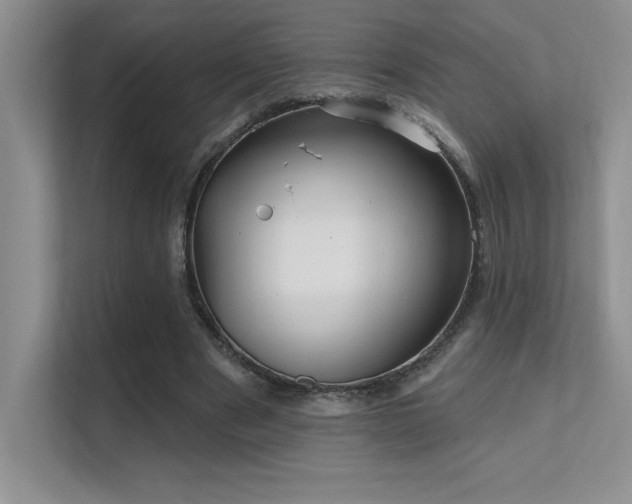 X0000112430489200908141434