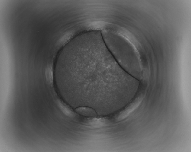 X0000112430493200908141434