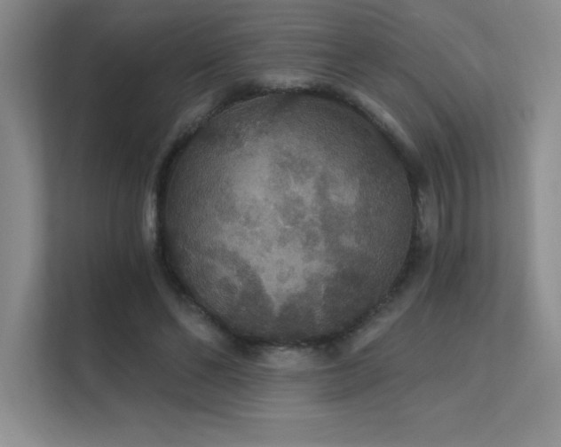 X0000112430494200908141434