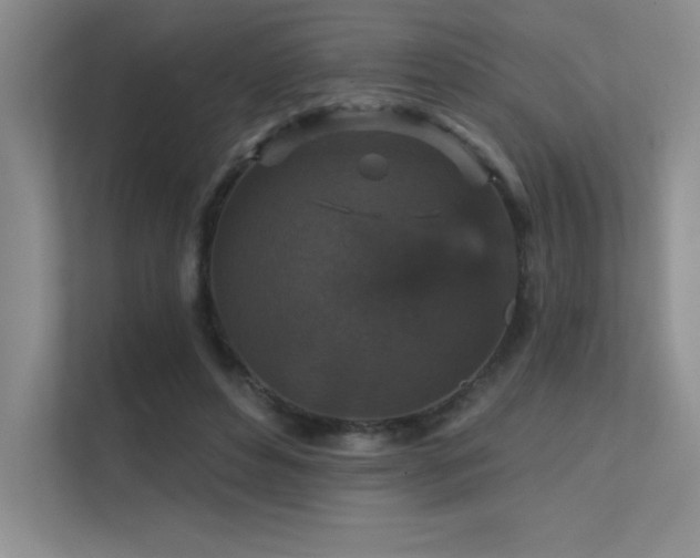 X0000112430496200908141434
