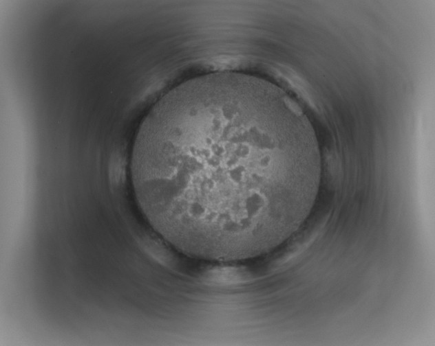 X0000112430499200908141434