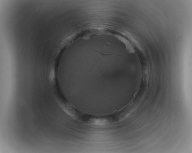X0000112430500200908141434