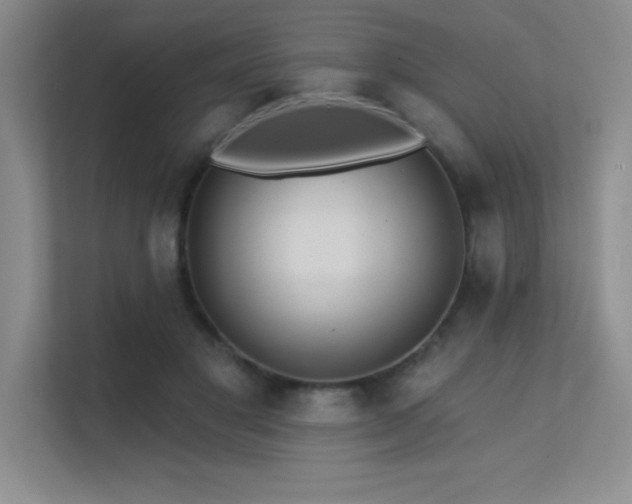 X0000112430501200908141434