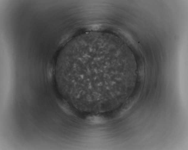 X0000112430503200908141434