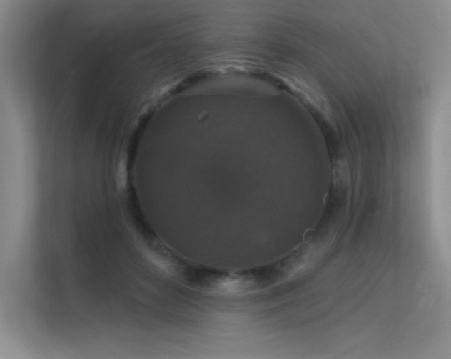 X0000112430504200908141434