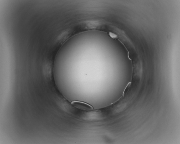 X0000112430505200908141434