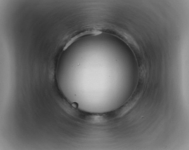 X0000112430509200908141433