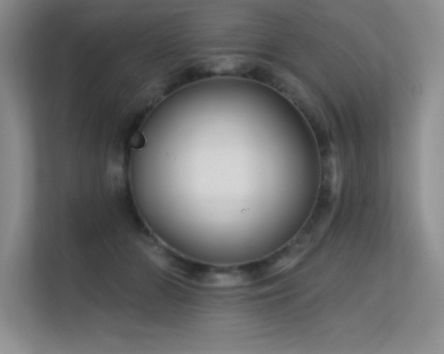 X0000112430510200908141433