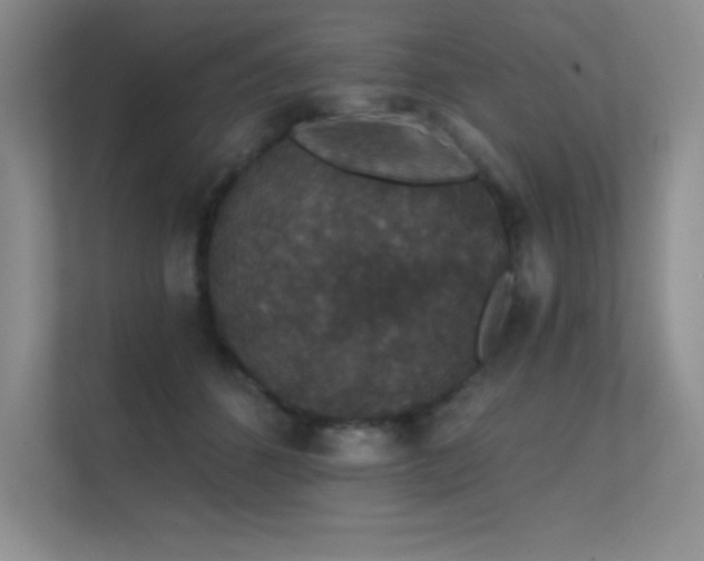 X0000112430512200908141433