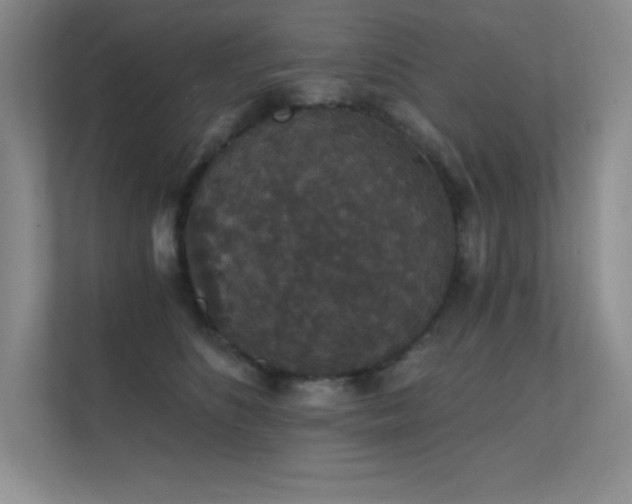 X0000112430516200908141433