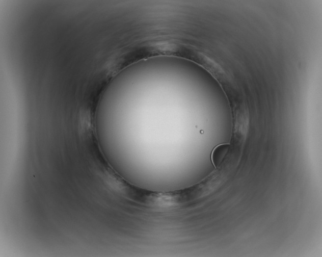 X0000112430518200908141433