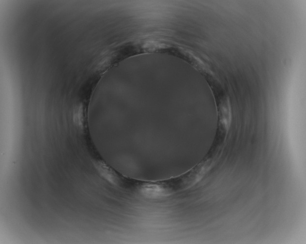 X0000112430519200908141433
