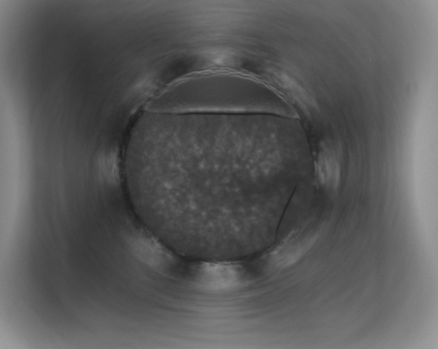 X0000112430520200908141433