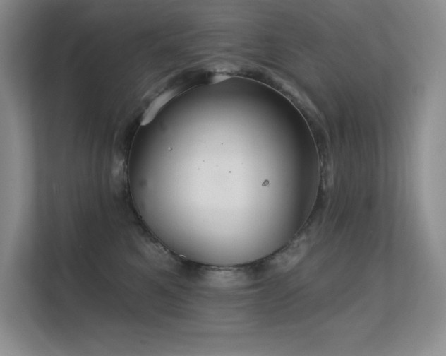 X0000112430521200908141433