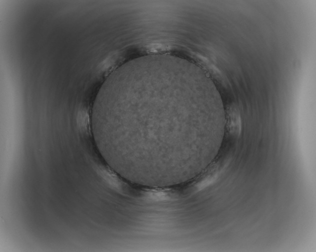 X0000112430523200908141433