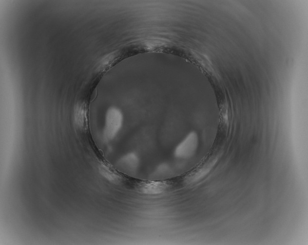 X0000112430527200908141433