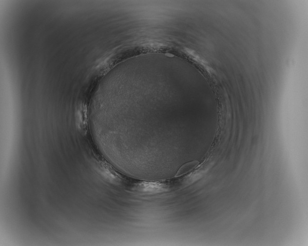 X0000112430528200908141433