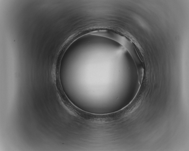 X0000112430530200908141433