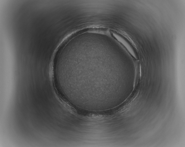 X0000112430531200908141433